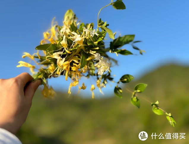 4800万超感光摄像头，AIS手持人像超级夜景技术，荣耀80