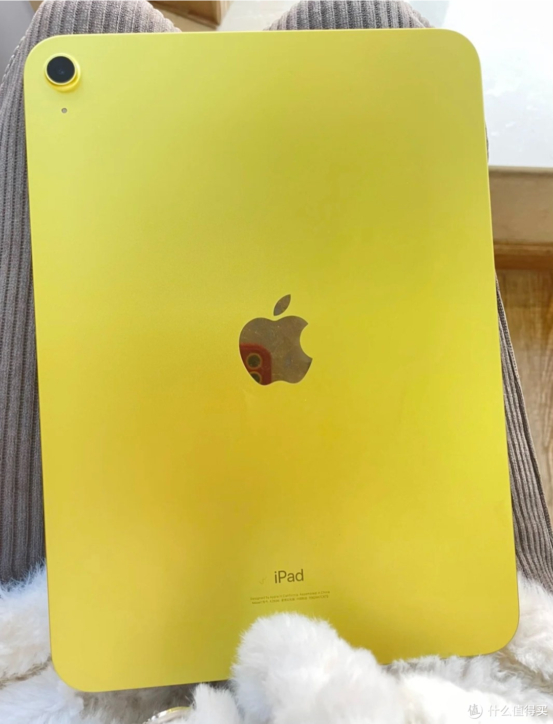 世界上只有一种平板，那就是iPad！