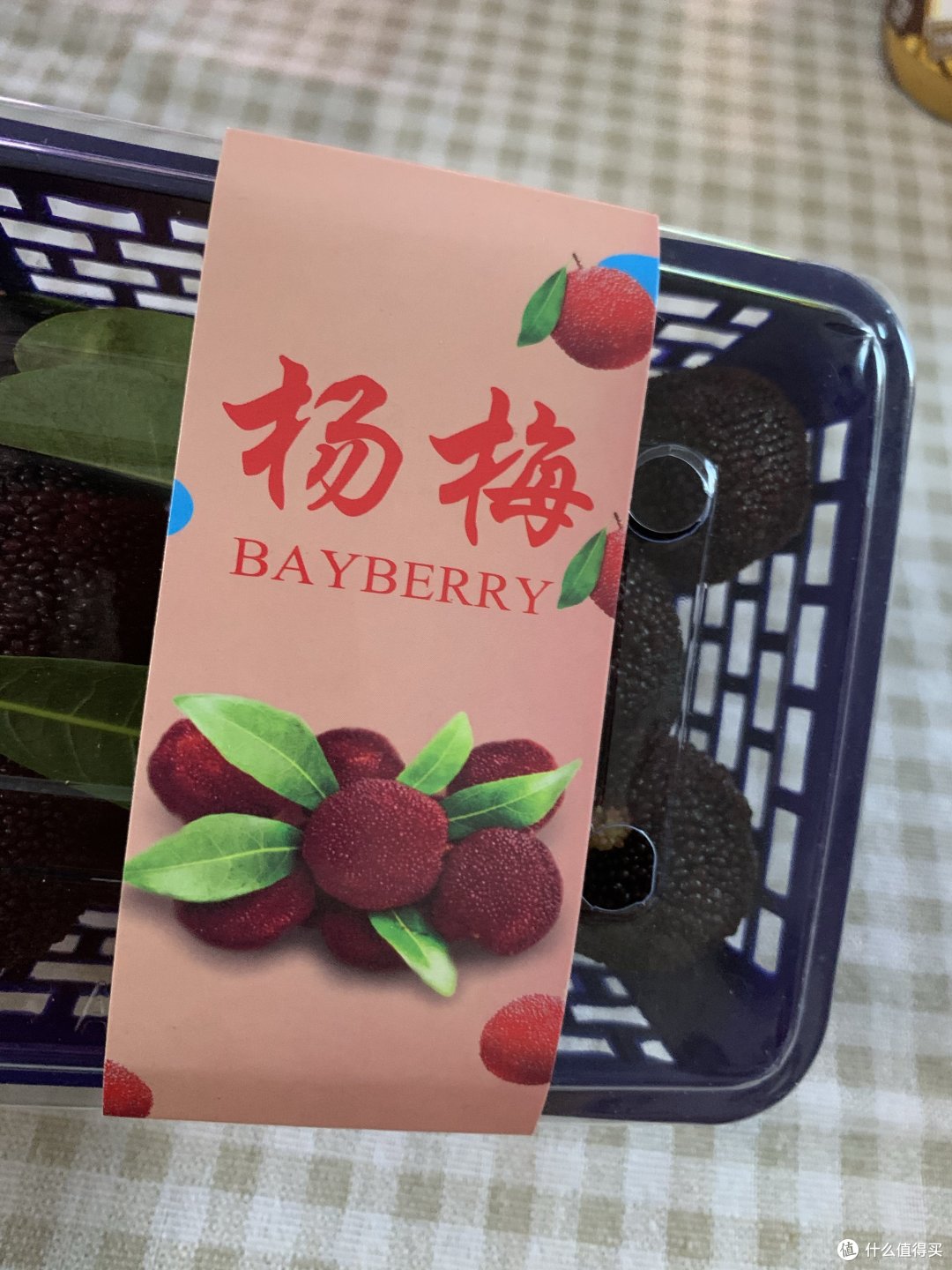 又到了吃杨梅的季节了