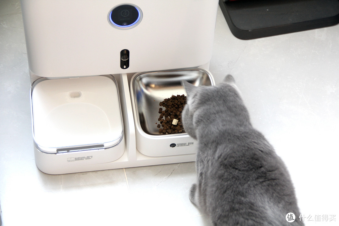 数字化养猫新时代-联想小新宠物智能一体机A7PRO评测