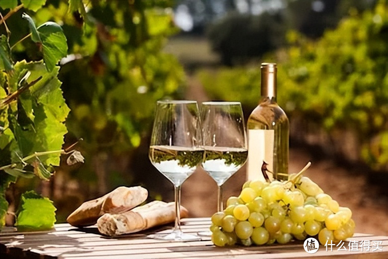夏季喝点啥，四款新旧世界长相思干白葡萄酒是你最佳的选择