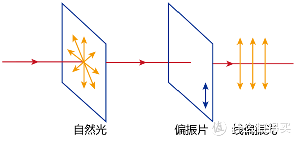 墨镜选购攻略：从风格到保护，选择适合你的专业眼镜