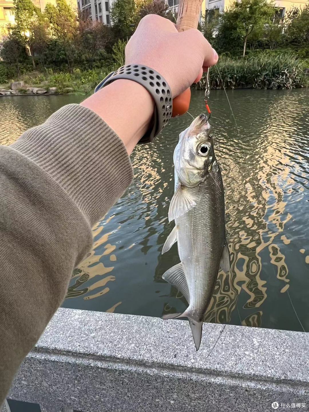 听说你想玩路亚，618新手路亚产品选购攻略-野钓篇