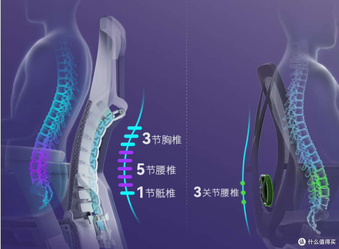 良好的坐姿就是在保护我们的腰,今天开箱保友Pofit2人体工学椅——来看看动态仿生脊椎科技究竟有多香