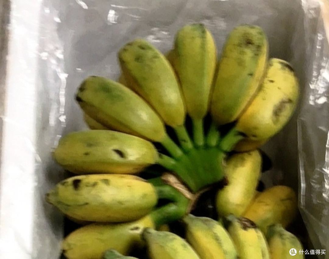 618好物种草之香蕉跟米蕉