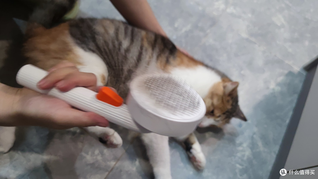 薅了一层小圆饼