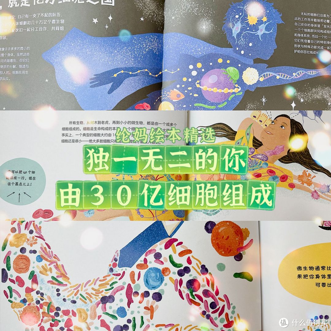 |《人体:亿万细胞之国》,30万亿个微小的你|