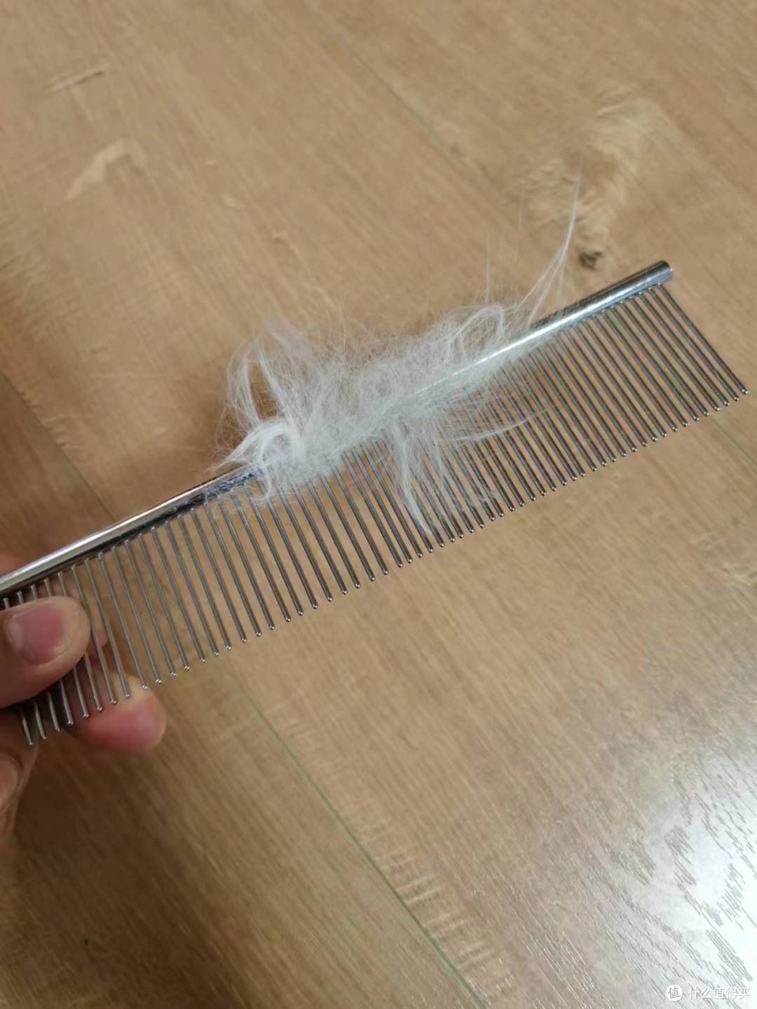 喵：梳子不要你觉得，本猫主要本主觉得
