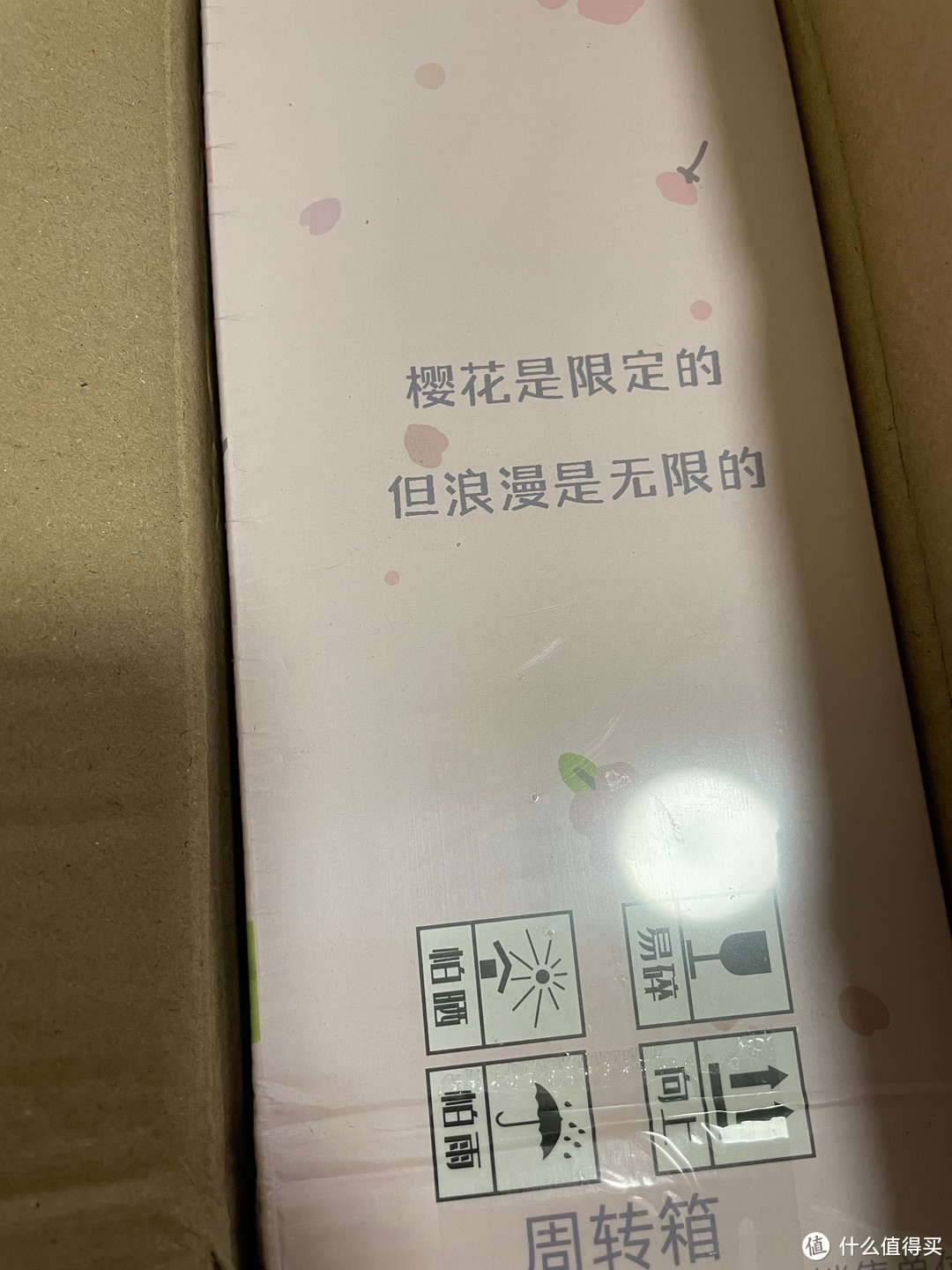 宜养乳酸菌的口味超出我的想象～