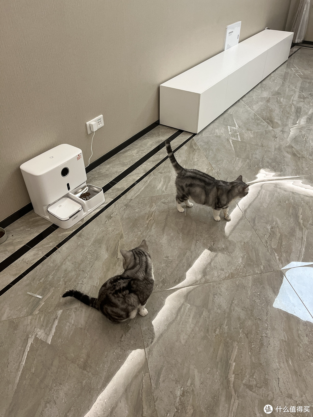 联想小新宠物智能一体机A7Pro使用评测：养猫人再也不怕出远门了！