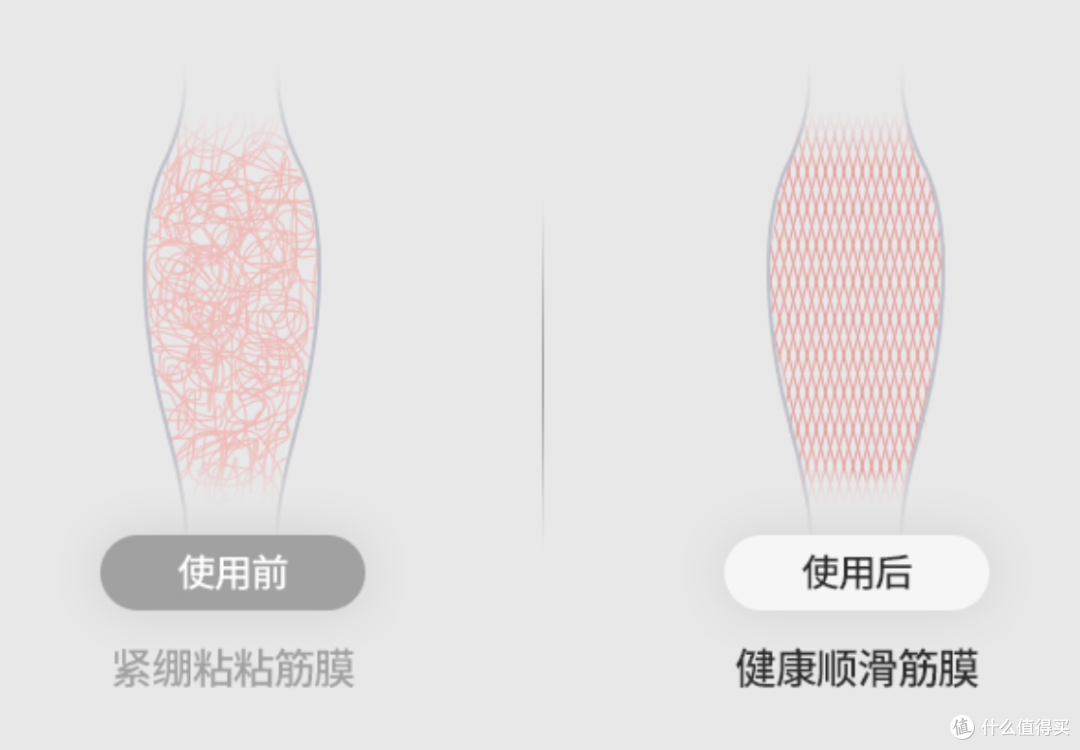 找来6款筋膜枪对比使用两个月!最贵的竟然不是最好的