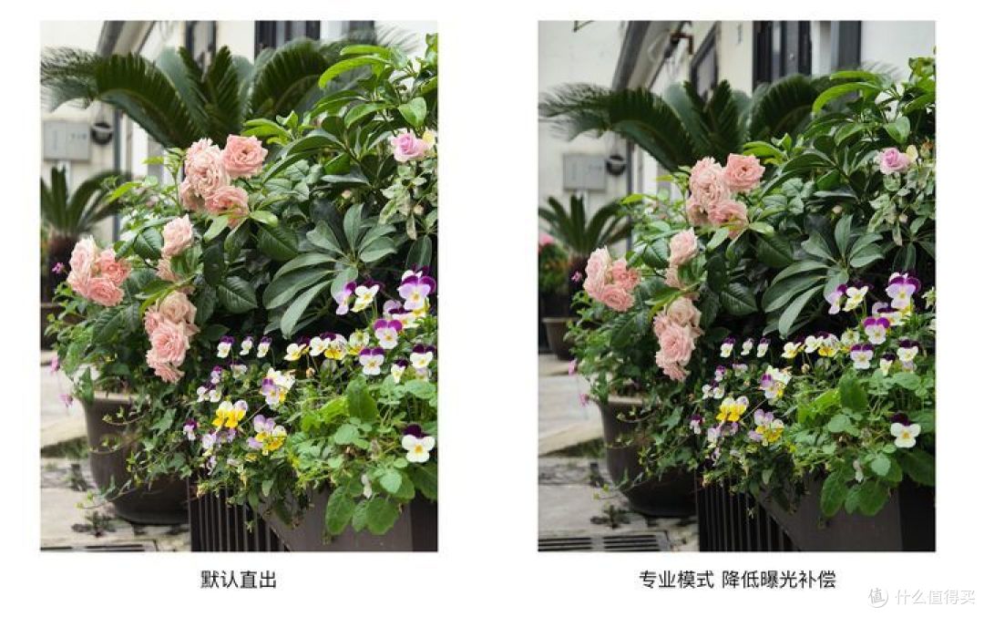 为了这点醋,才包了这顿饺子——OPPO Find X6体验