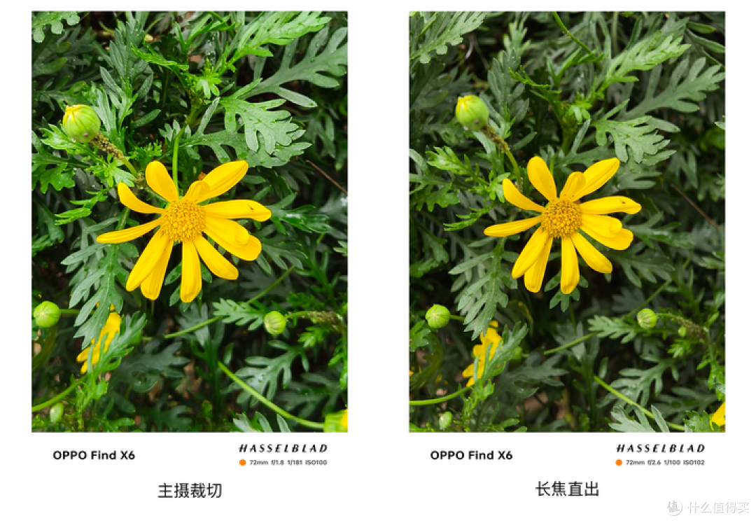 为了这点醋,才包了这顿饺子——OPPO Find X6体验