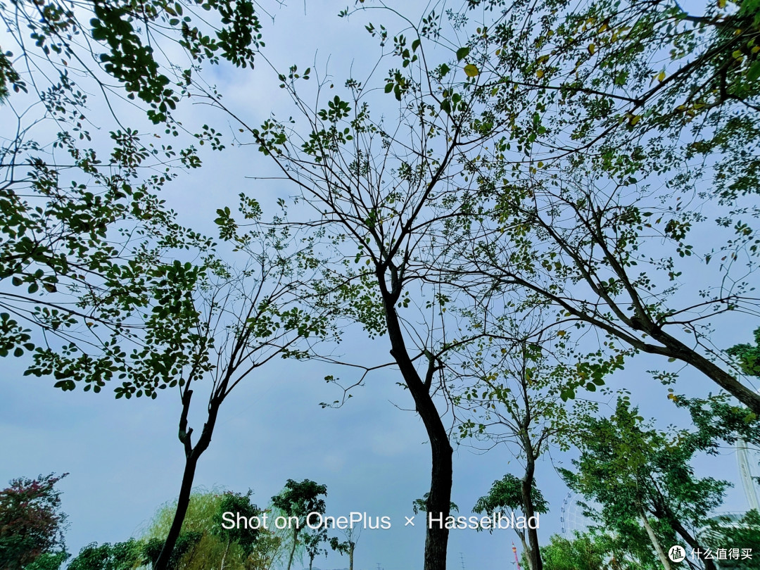 2023 年 618 有什么适合拍照手机推荐？手机推荐与选购指南