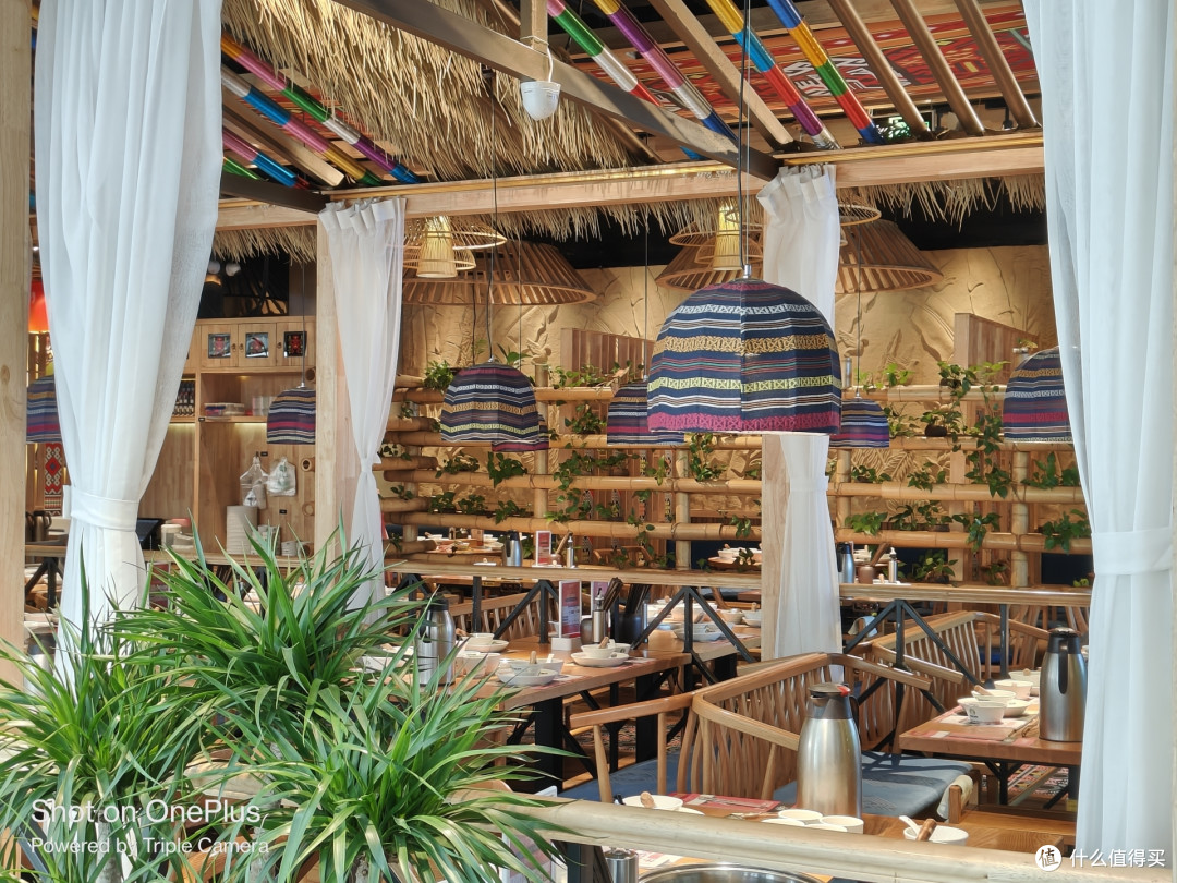 2023 年 618 有什么适合拍照手机推荐？手机推荐与选购指南