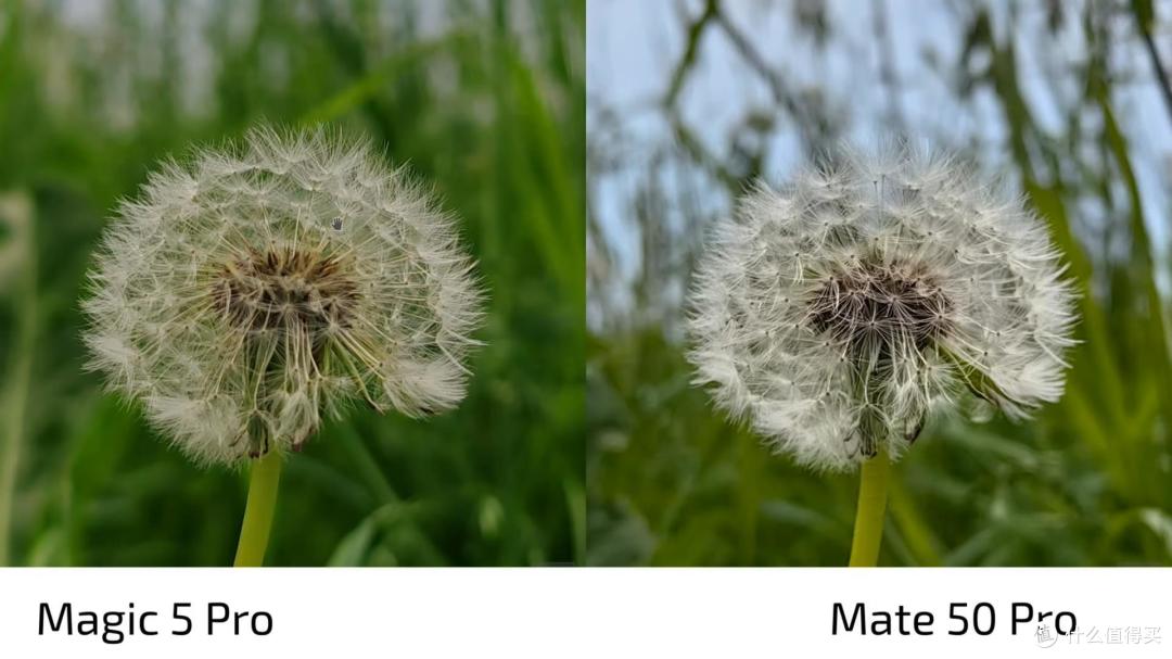 华为Mate50Pro和荣耀Magic5Pro实拍对比:都是5000万主摄差距贼大