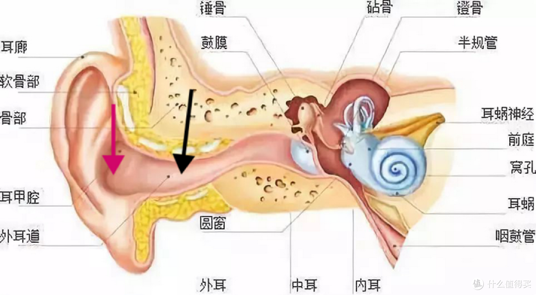 入耳式VS半入耳式？一篇耳机横评文教你看清究竟应该怎么选？