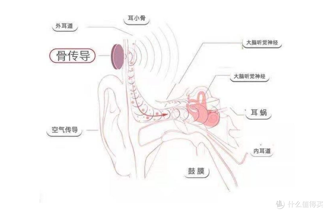 游泳也可以戴的耳机丨NANK南卡骨传导耳机使用体验分享