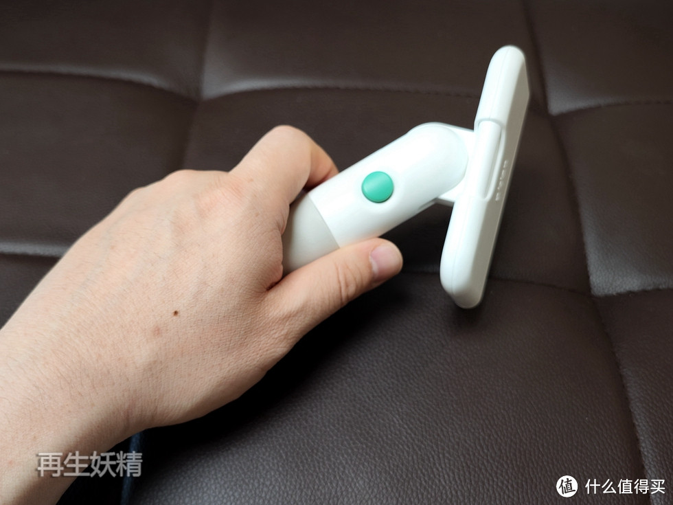 小B熊的舒服一刻,多款宠物毛梳逐个测