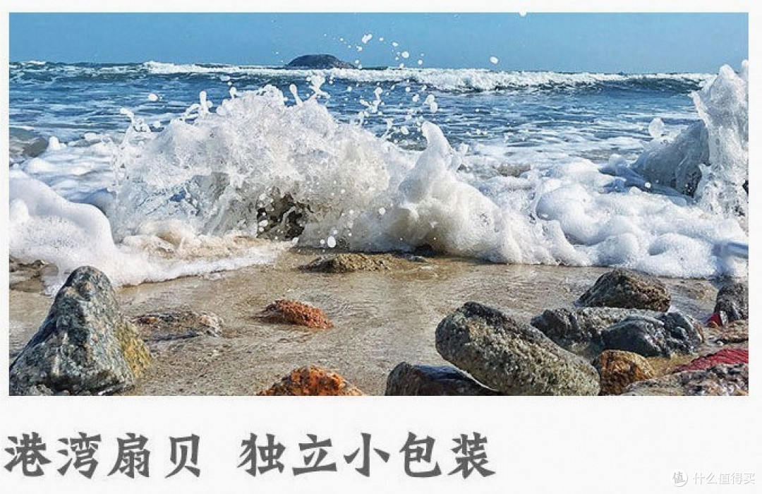 拯救你的味蕾,鲍鲜扇贝,让你爱上辣味