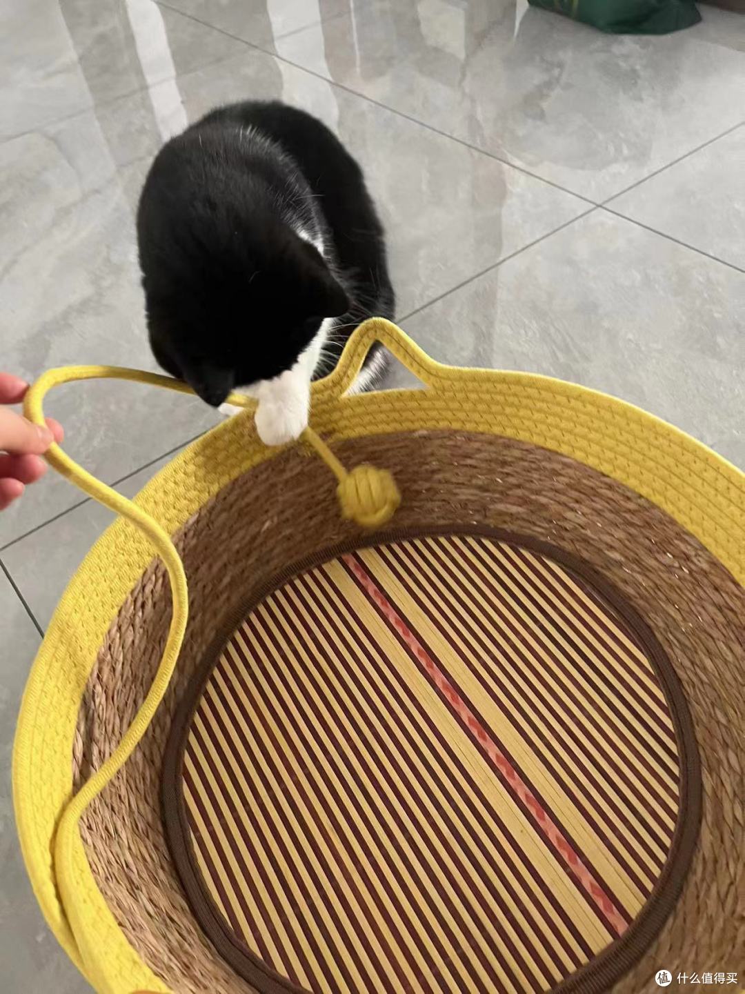 618购后晒~~~又给猫猫买个窝