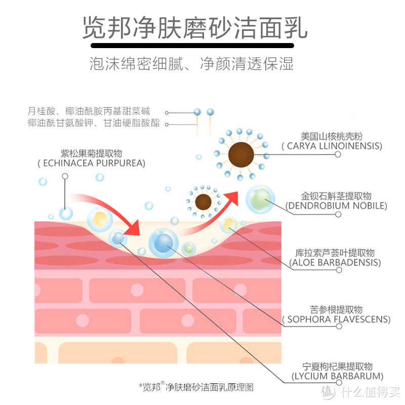 2023年男士洗面奶排行榜前十名，哪个牌子的洁面乳高性价比排行榜