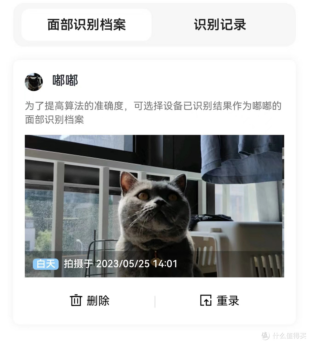 养猫需不需要自动投喂机？第一次使用宠物智能投喂一体机，体验如何？