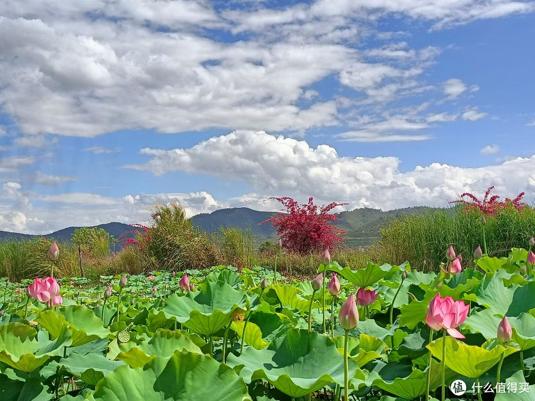 夏季旅游选普者黑就对了，风景太美了！