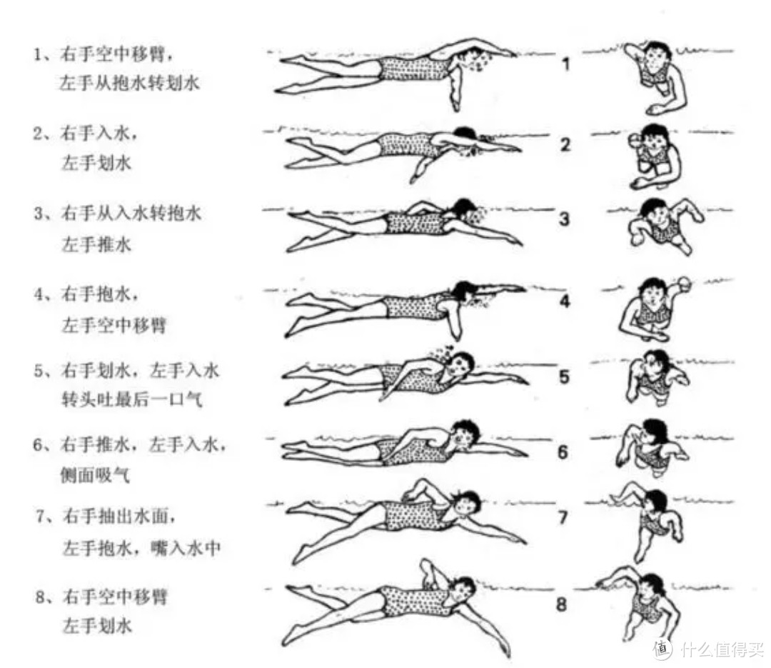 可能是最好的运动方式之一——我的那些游泳经验分享