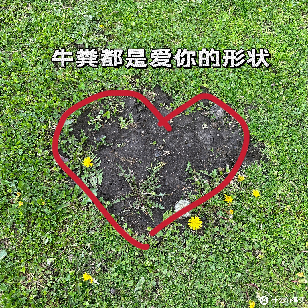 两个姑娘的新疆纯玩自由行伊犁小环线八日游,八千字详情介绍快来看~