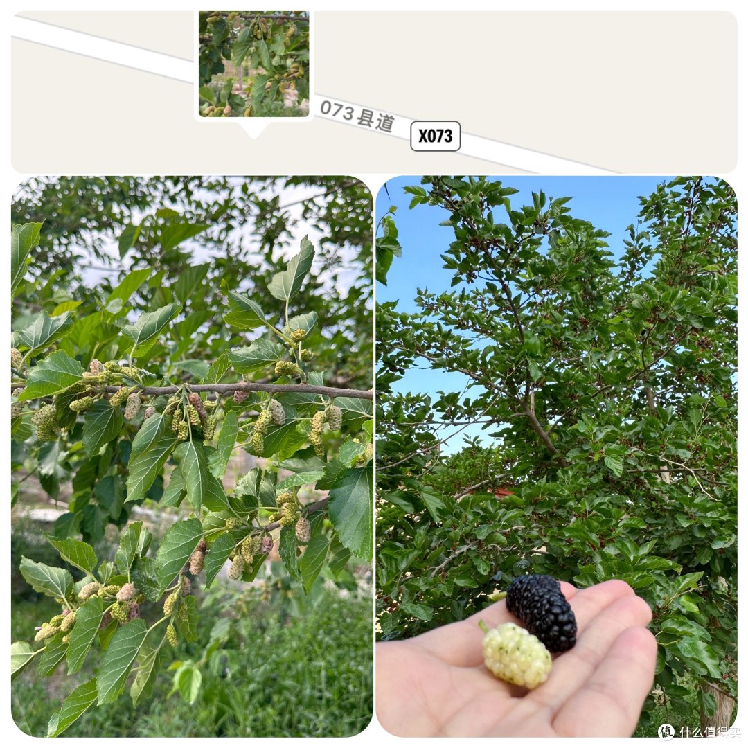 两个姑娘的新疆纯玩自由行伊犁小环线八日游,八千字详情介绍快来看~