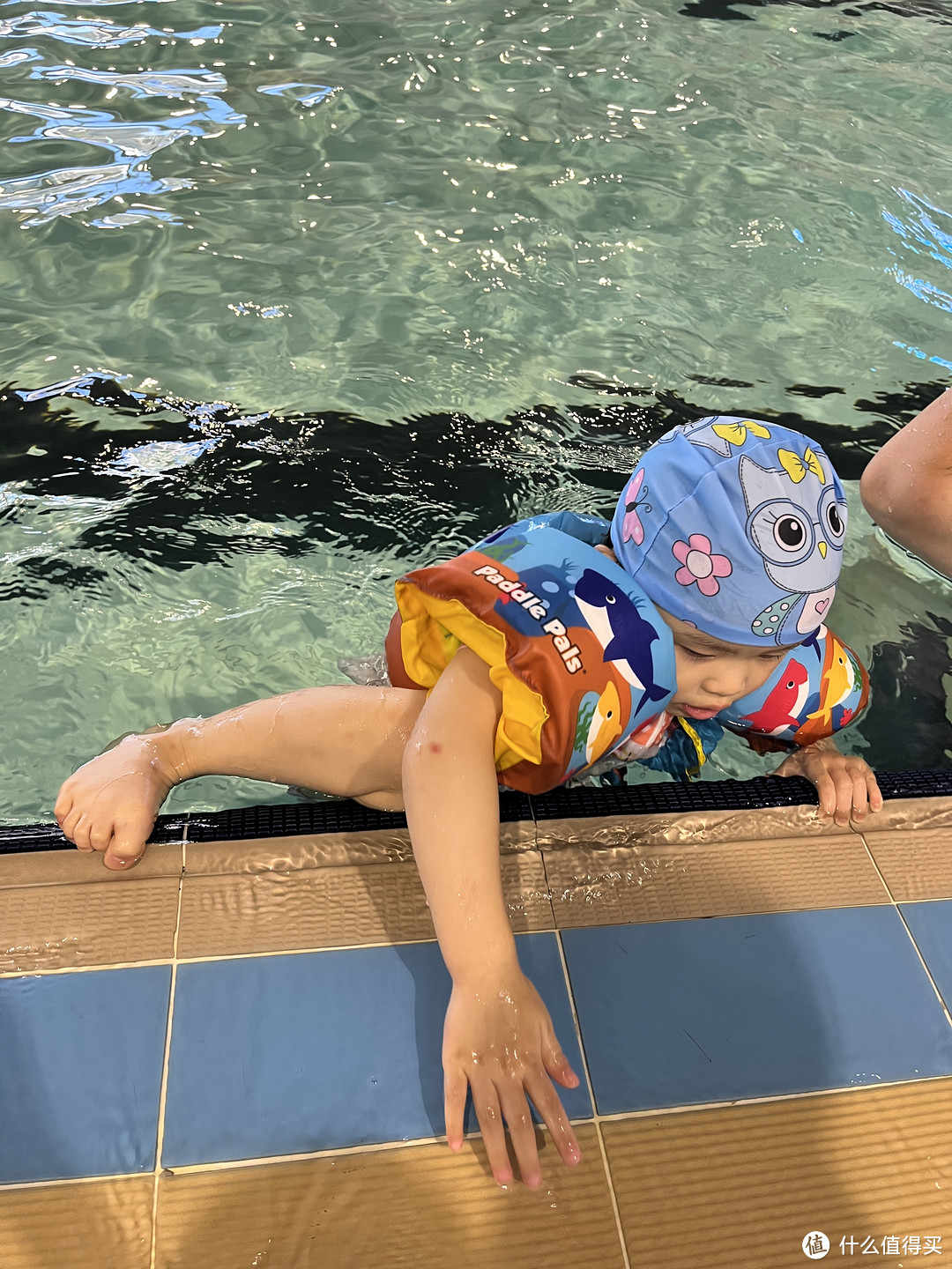 游泳OOTD｜👧这个泳池被我承包啦！分享人类幼崽自用游泳装备，适合0-3岁幼崽参考！