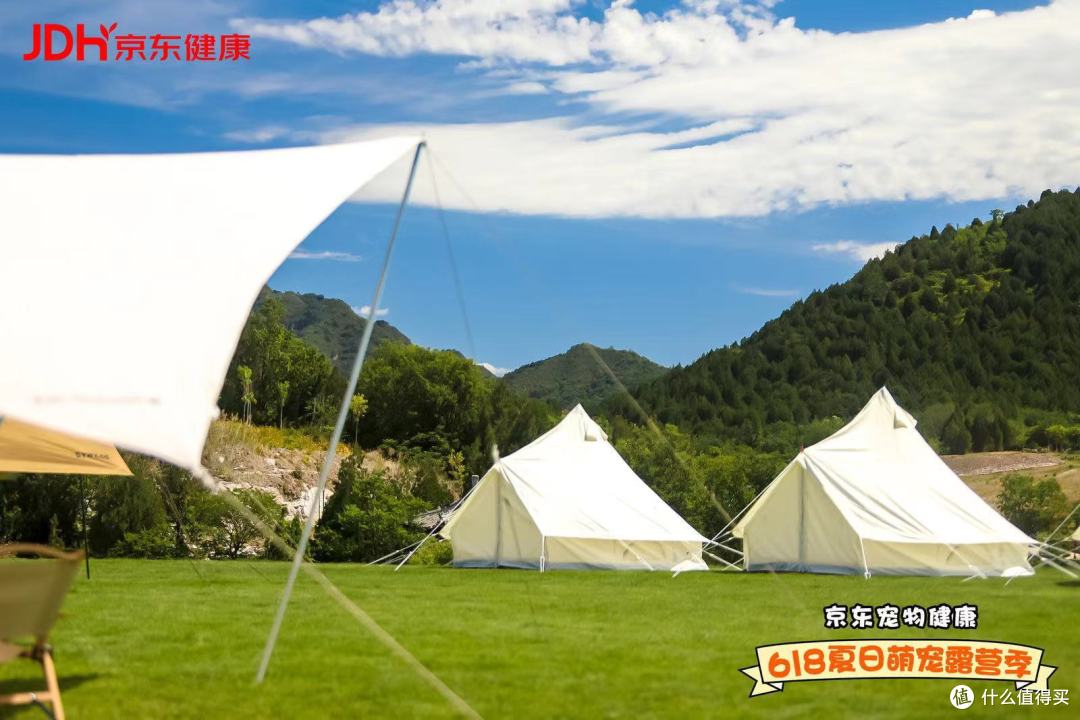 值得买&京东宠物健康 618 夏日萌宠露营季