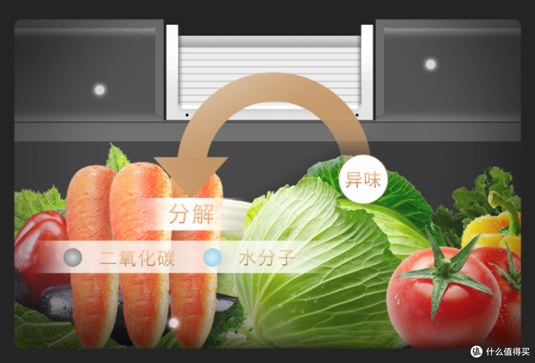新品!干货!不纠结!日立冰洗家电选购指南