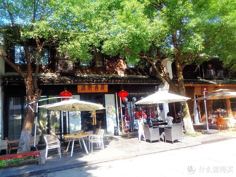 杭州景美人少的西溪，去吃烧饼，看香樟树，最值得周末去打卡