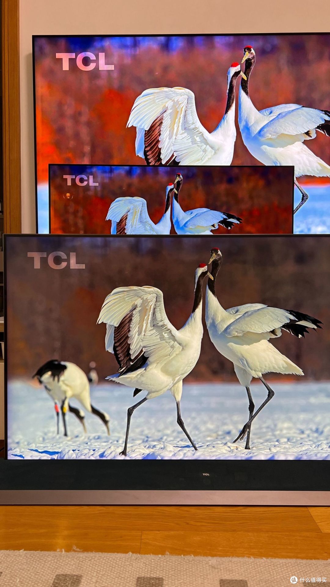 如何评价 TCL X11G 电视,会成为 2023 年电视画质天花板吗?