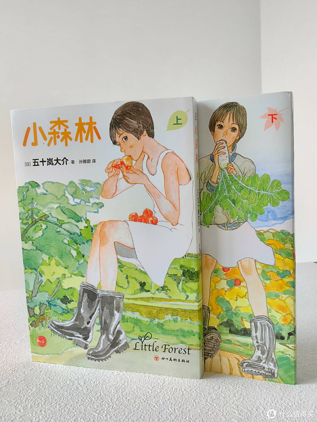 豆瓣9.0高分电影《小森林》原著漫画：用美食治愈人生