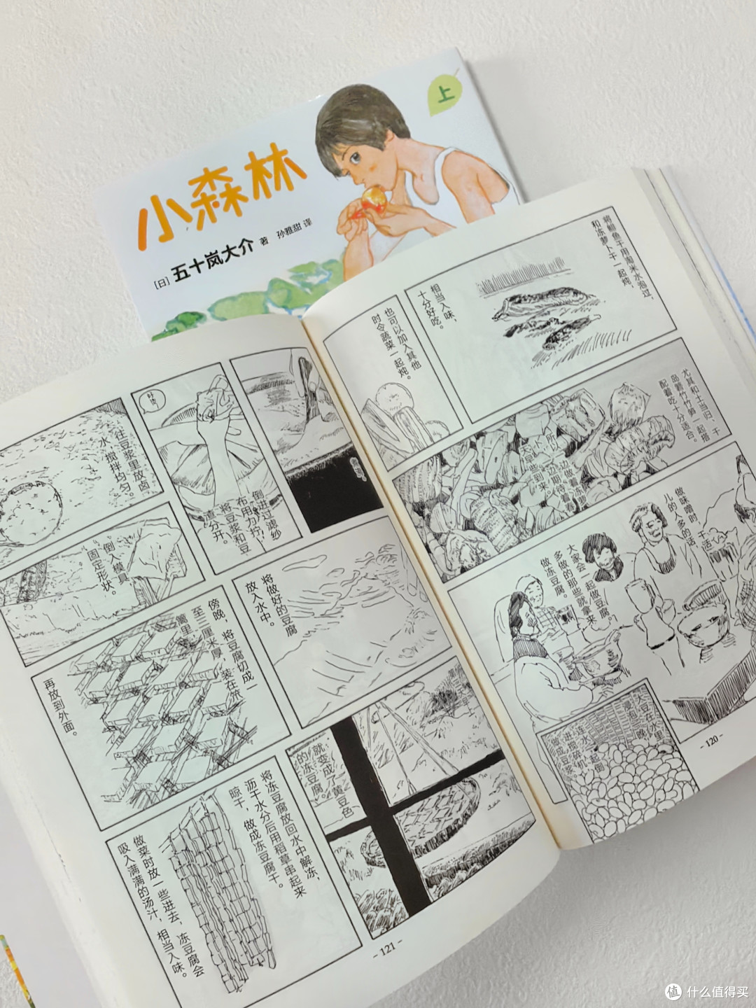 豆瓣9.0高分电影《小森林》原著漫画：用美食治愈人生