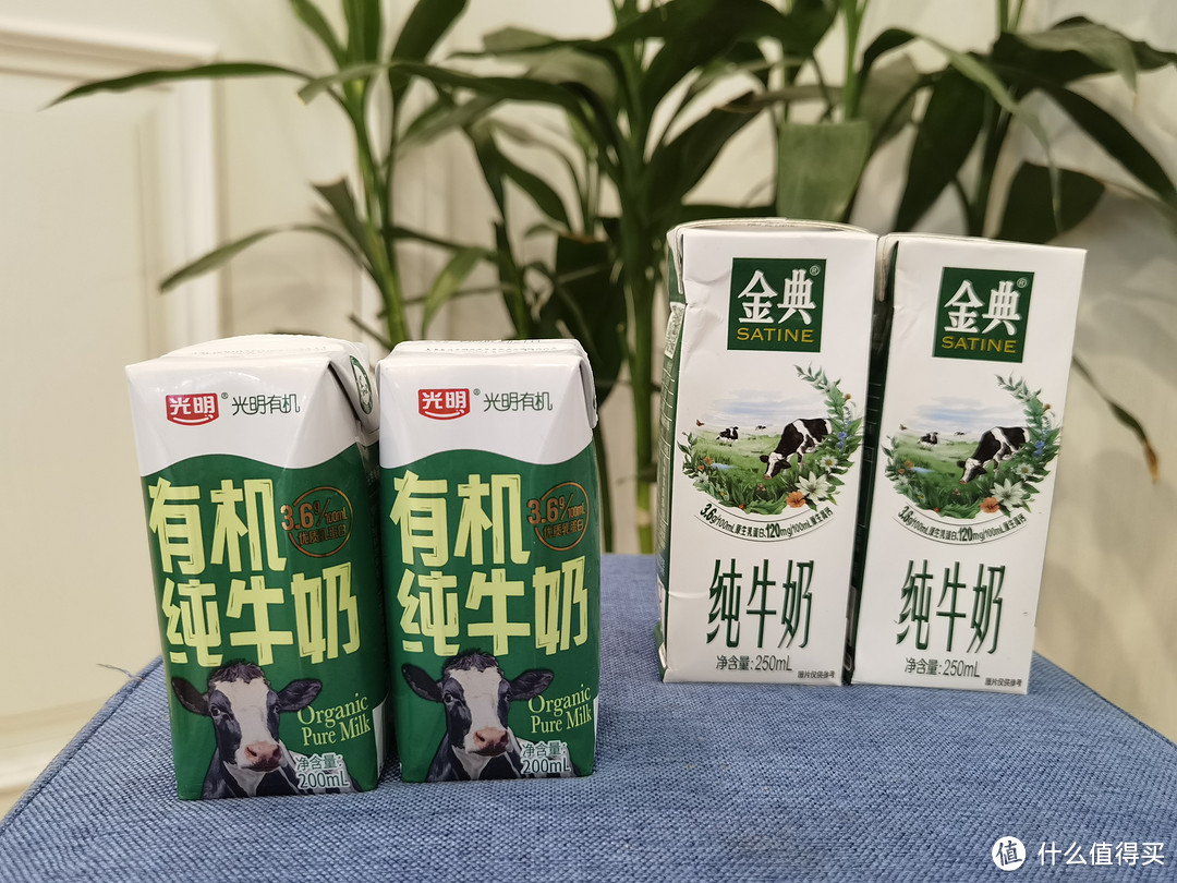 牛奶🥛跟牛奶🥛区别，你们选哪个？