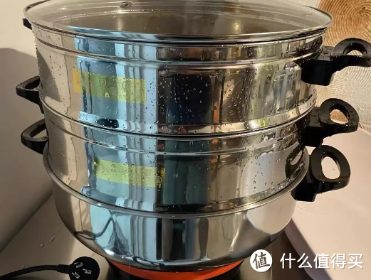 千元预算电蒸锅如何选，千元摩飞极速电蒸锅和百元德国蓝宝，两者到底有什么差异化的表现：