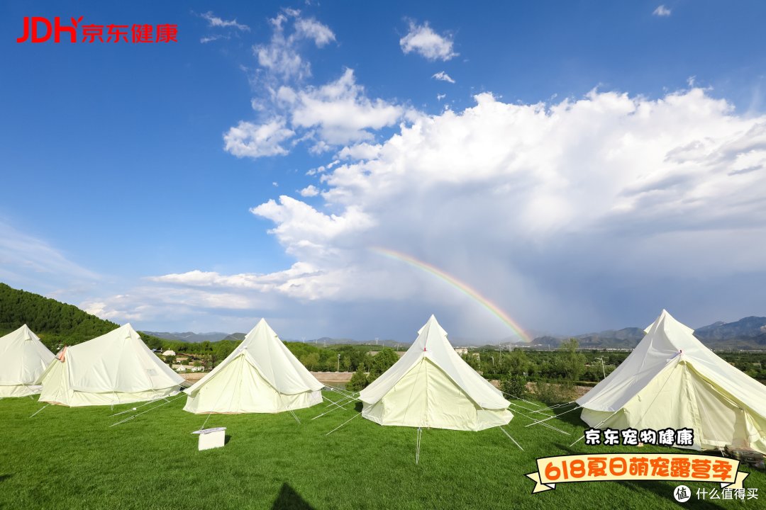 京东宠物健康-值得买618夏日萌宠露营季活动完美收官