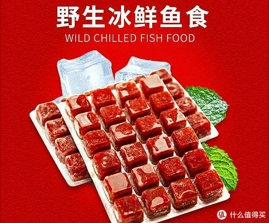 观赏鱼喂冷冻鱼食好不好？关于冷冻鱼食，我有话说