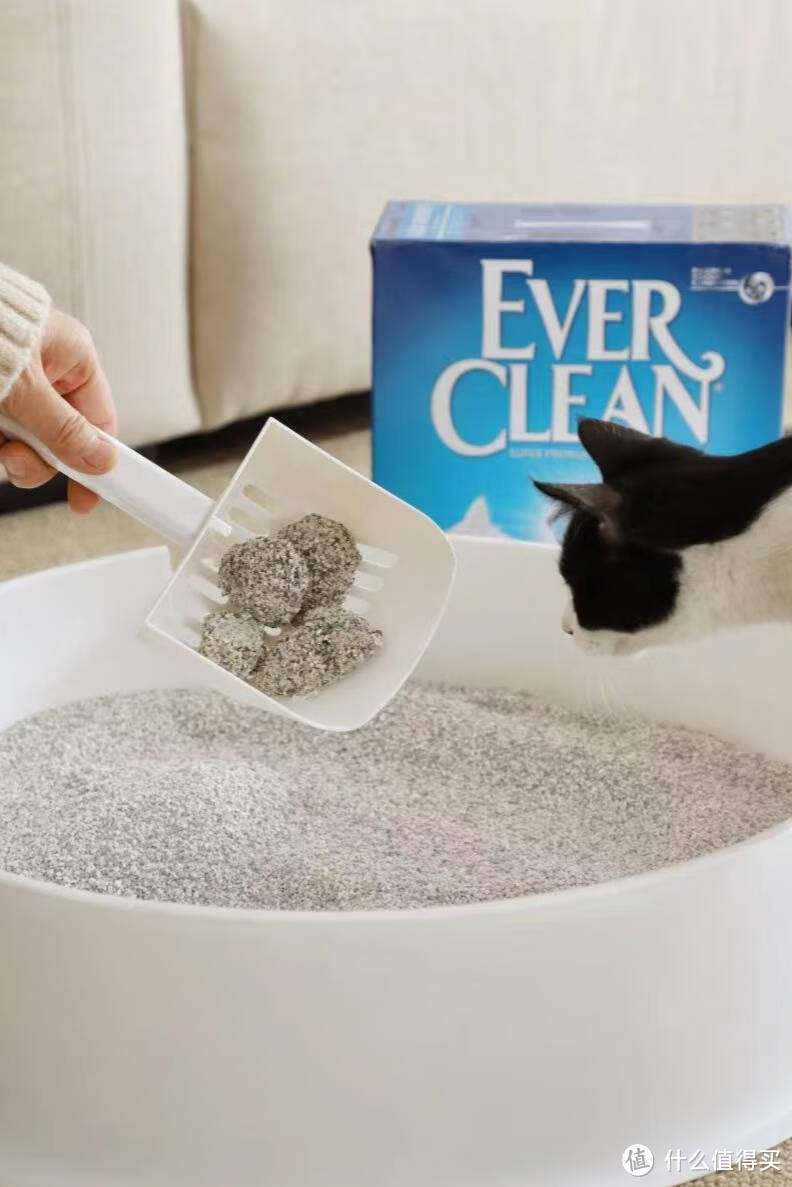 铂钻低尘猫砂，怎么使用也不脏！