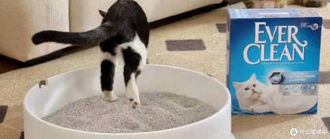 铂钻低尘猫砂，怎么使用也不脏！