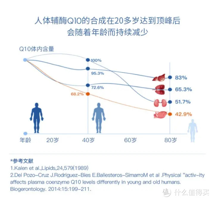 增强体质的补剂——辅酶