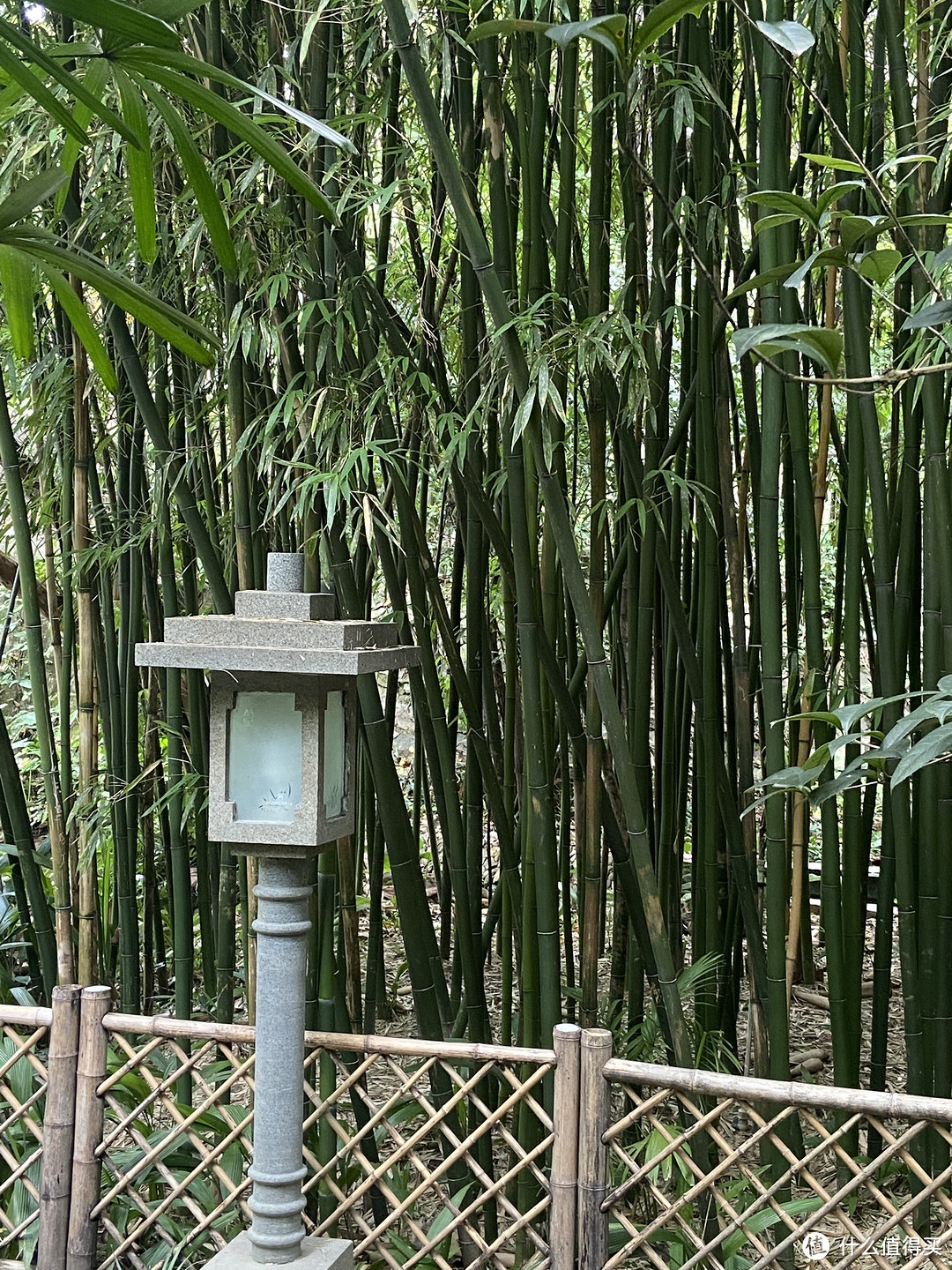 岭南地区最大的兰花主题公园｜广州一日游好去处