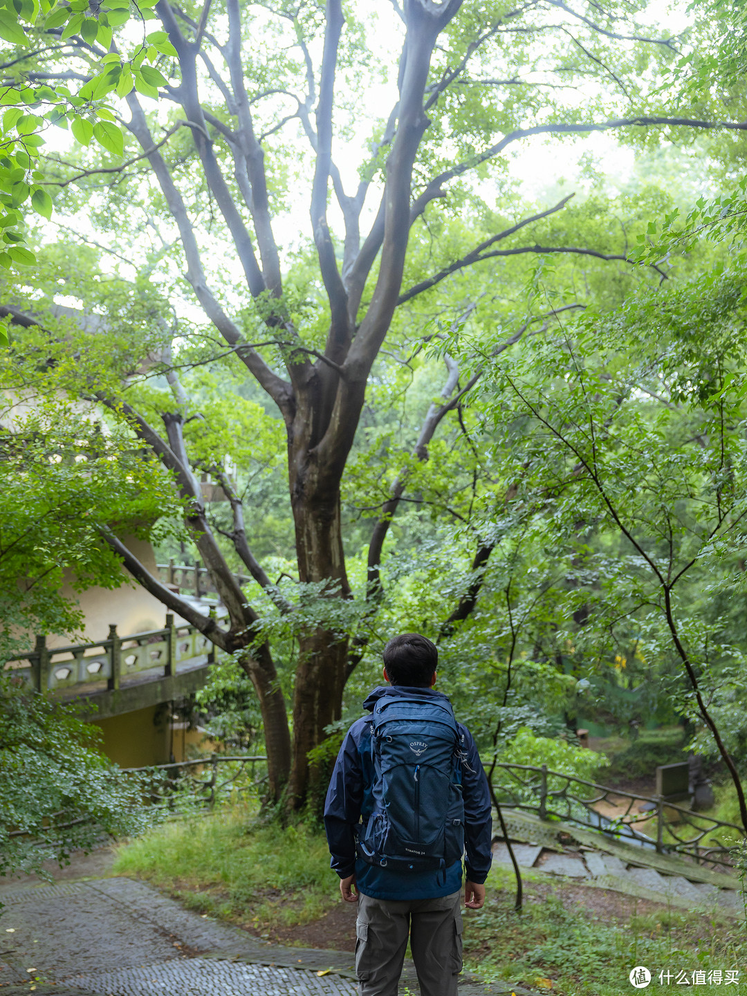 去山里过夏天！南京无想山小众秘境治愈徒步线路