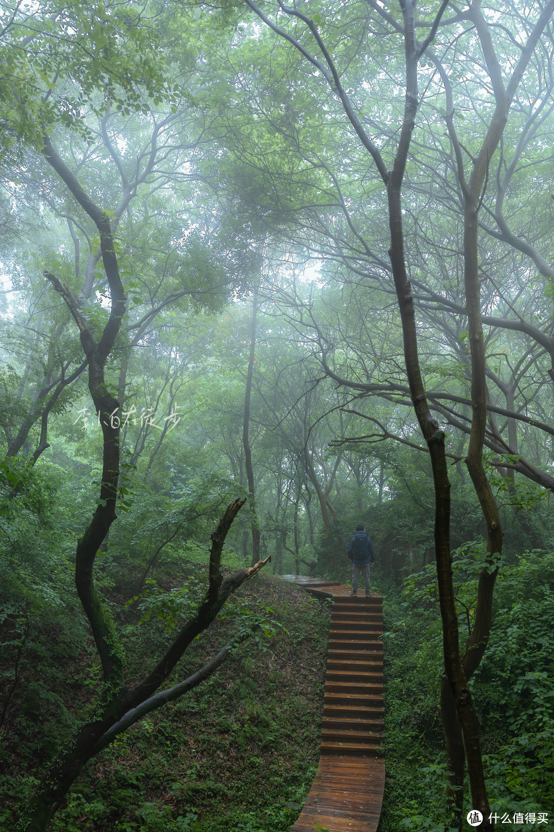 去山里过夏天！南京无想山小众秘境治愈徒步线路