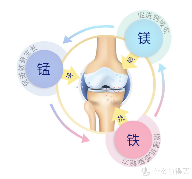 熬夜、加班、过度劳累……你需要补充什么营养素？一文讲清别补错