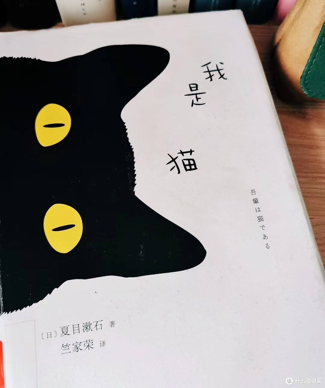 一只不会拐着弯讽刺人的猫